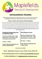 Safeguarding for DSL Refresher Course   (3)