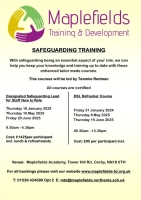 Safeguarding for DSL New to Role